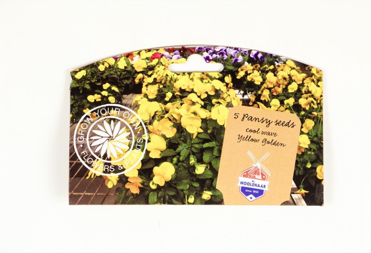 種子催芽的常見(jiàn)方法（教你兩種催芽方法）