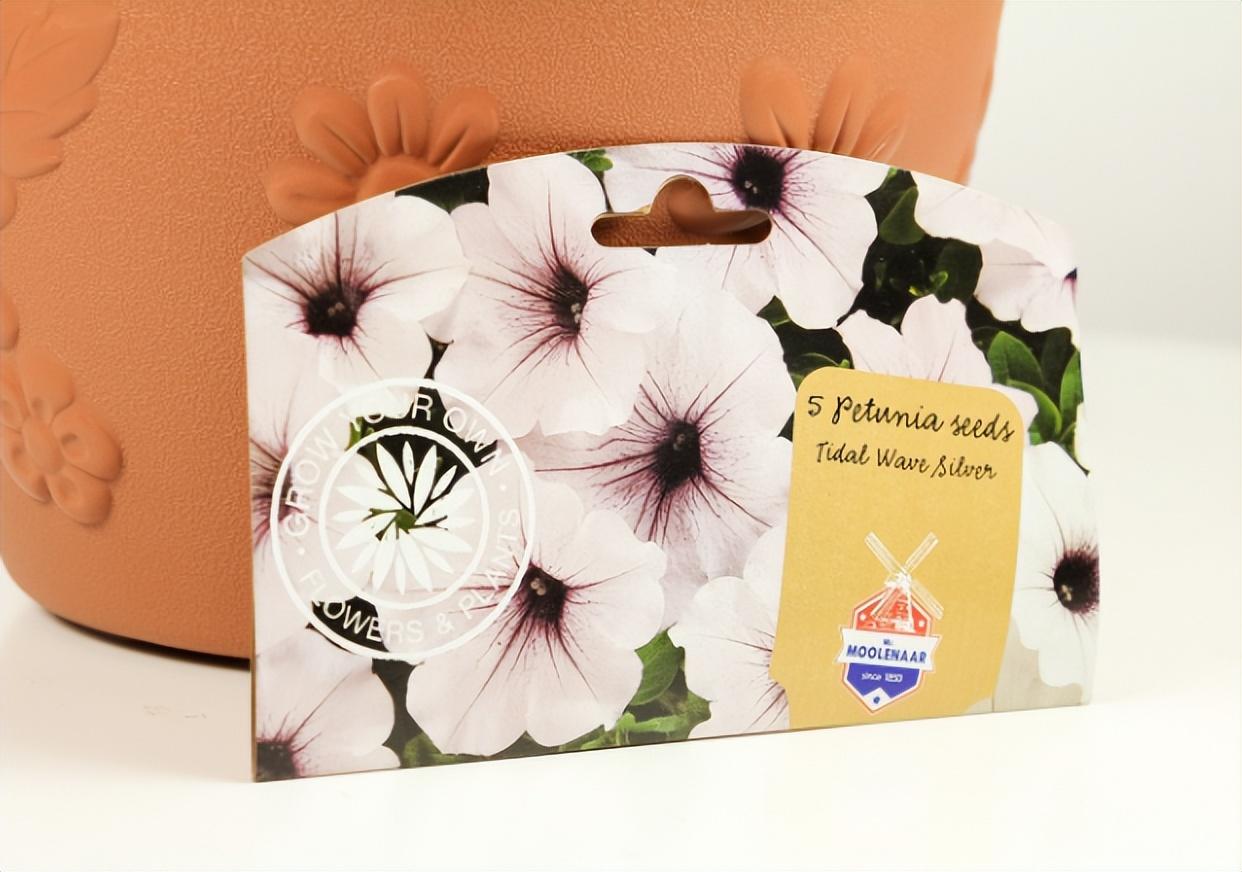 種子催芽的常見(jiàn)方法（教你兩種催芽方法）