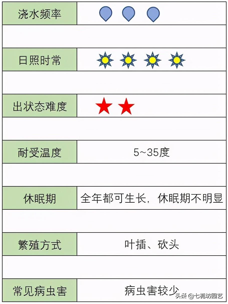 黃麗怎么施肥，黃麗怎么繁殖？