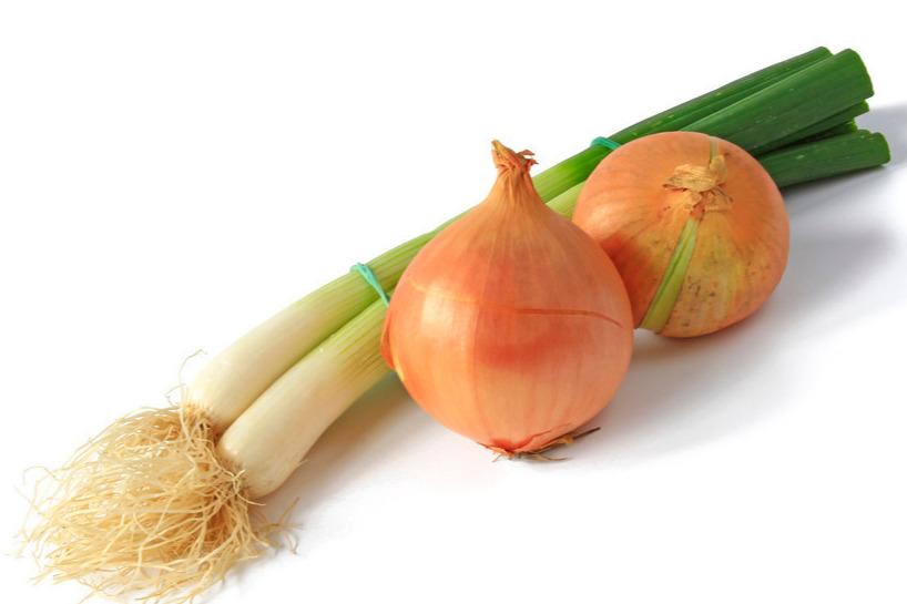 狗狗吃了生玉米怎么辦(狗狗玉米能吃么)