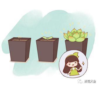 茶梅怎么扦插，茶梅扦插生根最快方法?