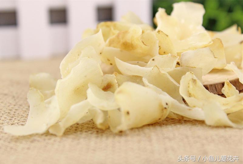 百合開(kāi)花之后怎么處理，百合一年開(kāi)花幾次，如何讓百合分叉多開(kāi)花?