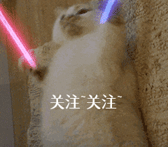 阿拉斯加犬怎么選(阿拉斯加犬怎么挑選)