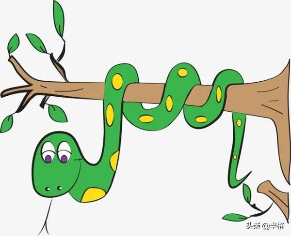 菜花蛇為什么不怕眼鏡王蛇