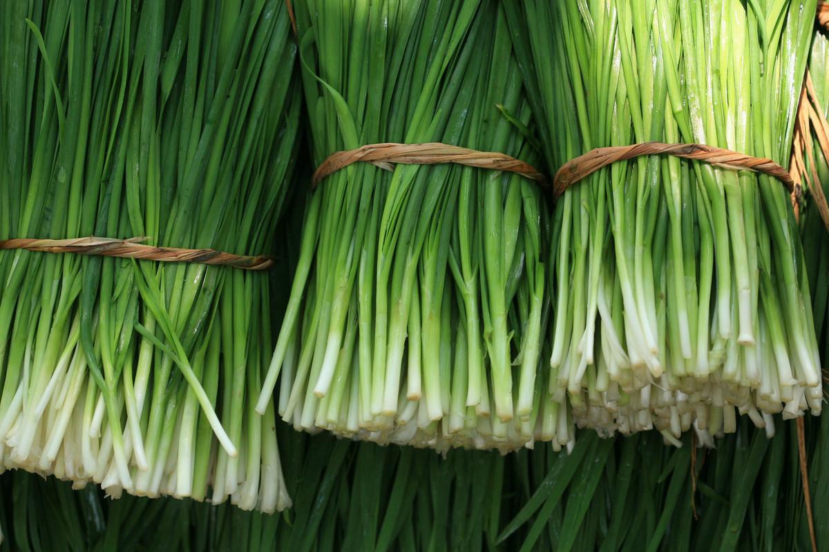 狗狗吃了生玉米怎么辦(狗狗玉米能吃么)