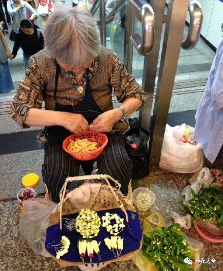 白蘭花什么時(shí)候開(kāi)花，地栽白蘭花過(guò)冬?