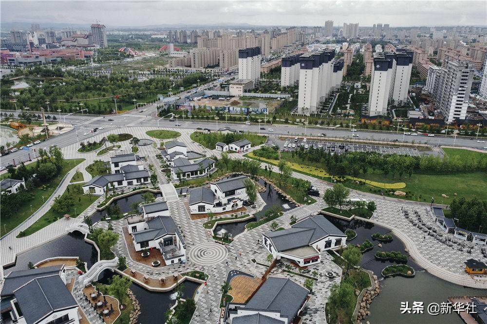 不夜城的扦插繁殖，梅花可以扦插繁殖嗎?