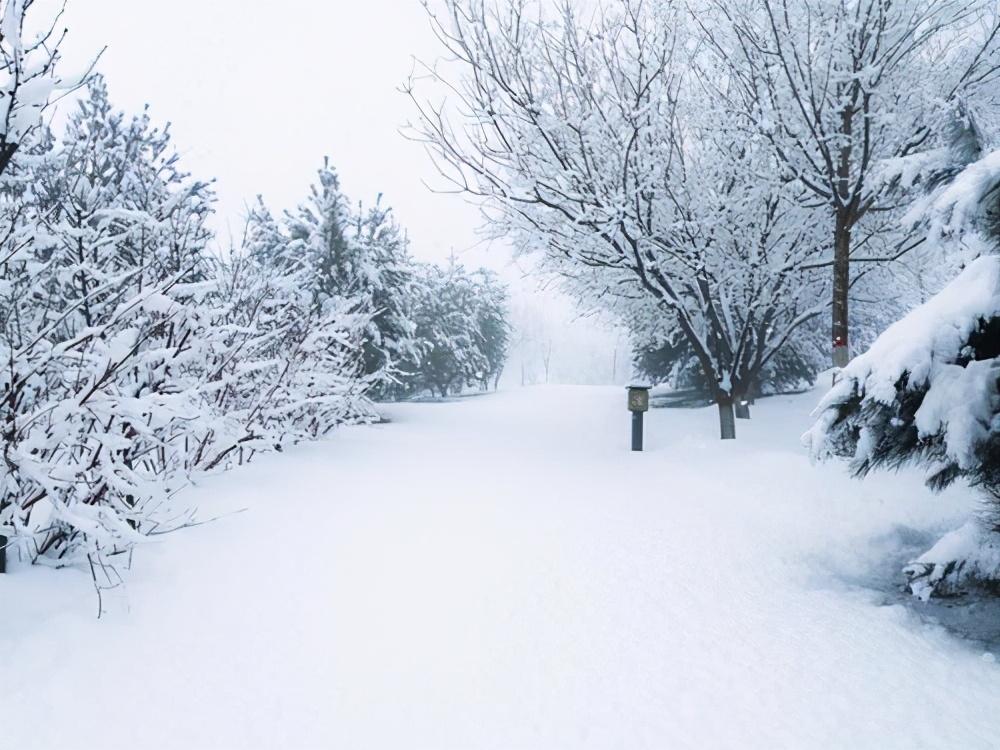 泰迪怕冷還是怕熱(泰迪夏天怎么過(guò)) 泰迪怕冷還是怕熱(泰迪夏天怎么過(guò))