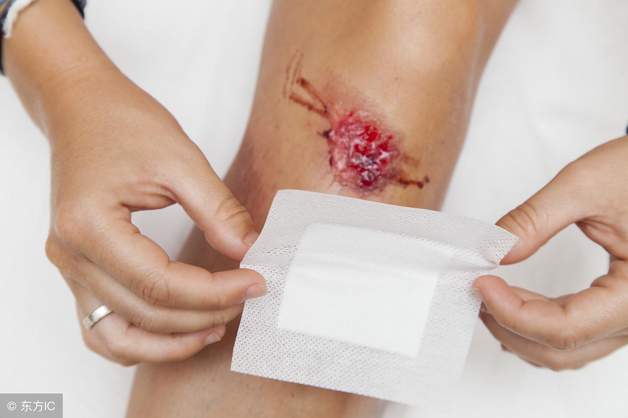 落地生根什么時(shí)候開(kāi)花，落地生根怎么治痔瘡?