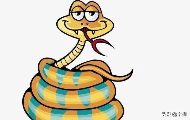 菜花蛇為什么不怕眼鏡王蛇