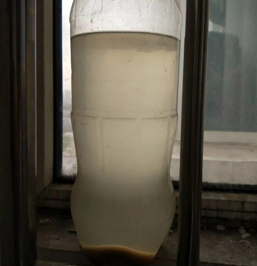 長(cháng)壽花施肥方法，用什么肥好，長(cháng)壽花用什么肥好什么時(shí)候施肥合適?