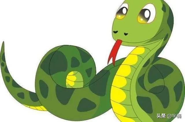 菜花蛇為什么不怕眼鏡王蛇
