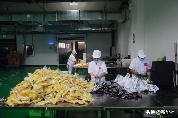 不夜城的扦插繁殖，梅花可以扦插繁殖嗎?