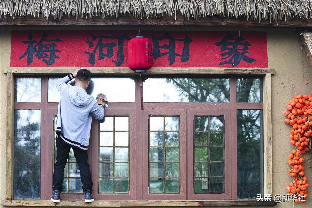 不夜城的扦插繁殖，梅花可以扦插繁殖嗎?