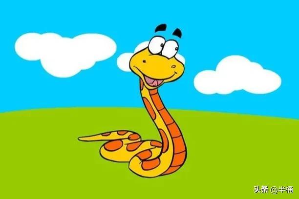 菜花蛇為什么不怕眼鏡王蛇