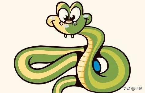 菜花蛇為什么不怕眼鏡王蛇