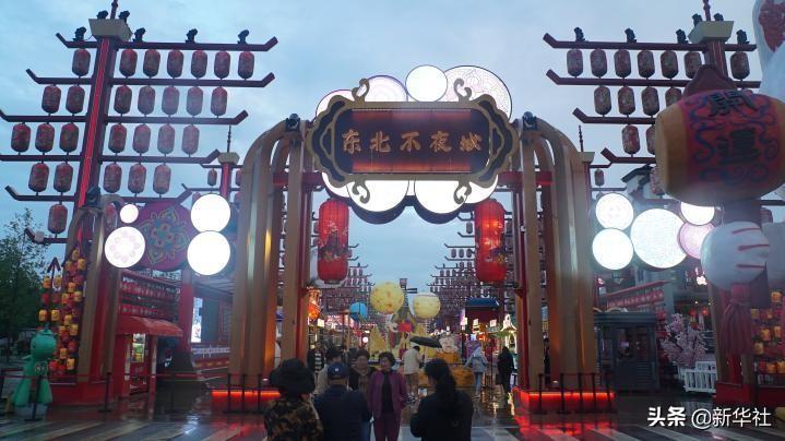 不夜城的扦插繁殖，梅花可以扦插繁殖嗎?