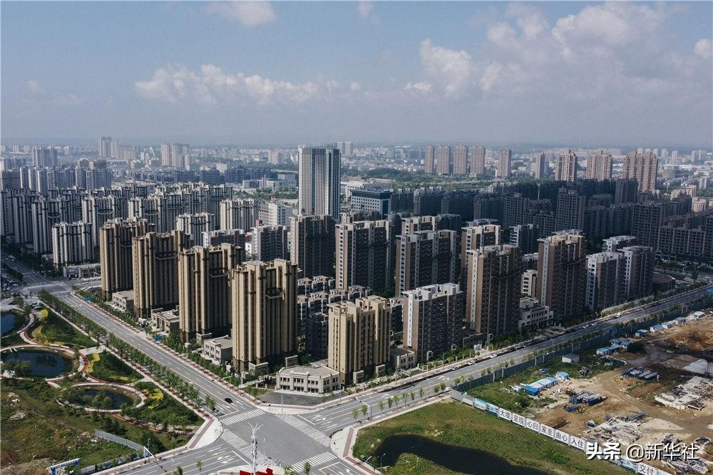 不夜城的扦插繁殖，梅花可以扦插繁殖嗎?