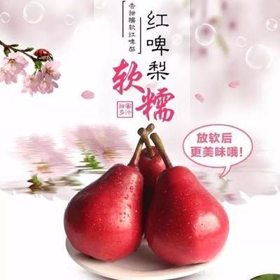 紅啤梨怎么催熟變軟，紅啤梨怎么放軟