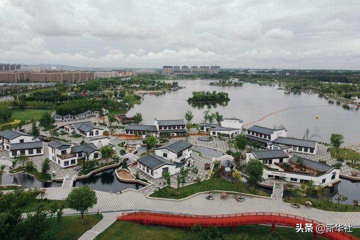 不夜城的扦插繁殖，梅花可以扦插繁殖嗎?