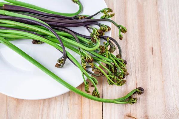 厥菜——山菜之王（被列為致癌蔬菜，可適量食用）