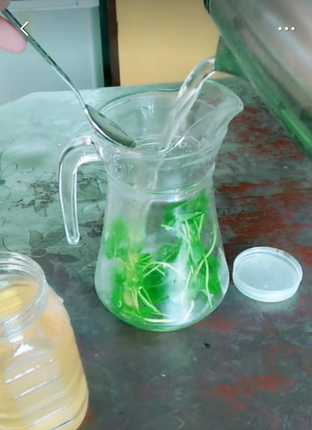 銅錢(qián)草可以吃嗎（涼拌當菜泡茶都可以）