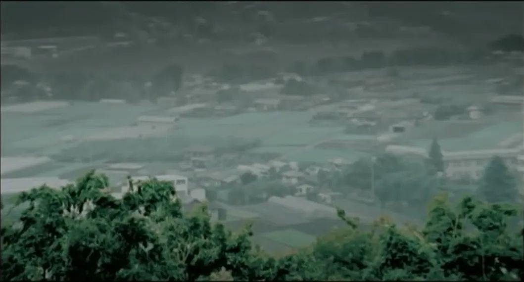 七里香和九里香有什么區別（一文讀懂七里香、九里香、十里香、千里香、萬(wàn)里香）