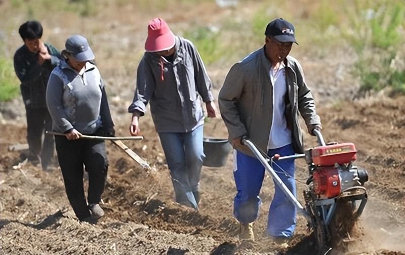 農業(yè)是根本，農民是基石，是大地的智者，是自然的使者