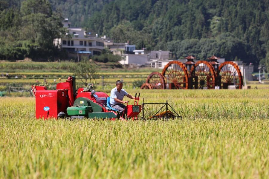 農業(yè)現代化發(fā)展現狀（農業(yè)現代化的關(guān)鍵在科技化）