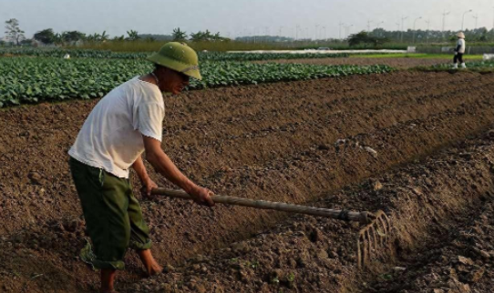 以后種地是不是很賺錢(qián)？談?wù)勎业膸c(diǎn)看法