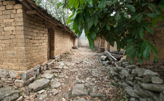 未來(lái)五年非常適合農村創(chuàng  )業(yè)的5個(gè)好項目，