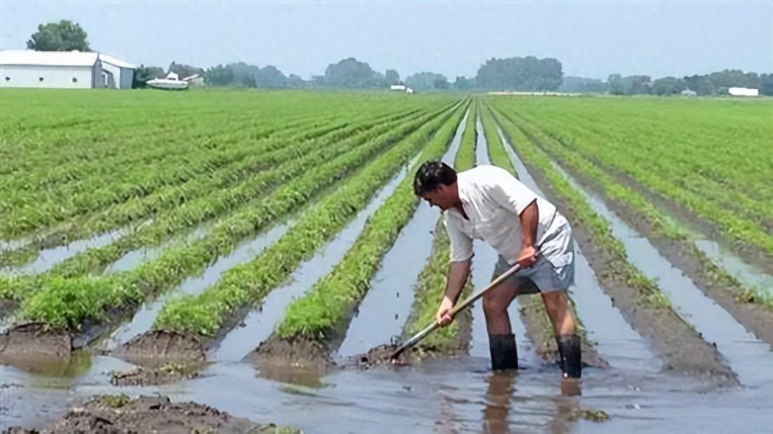 農業(yè)是根本，農民是基石，是大地的智者，是自然的使者