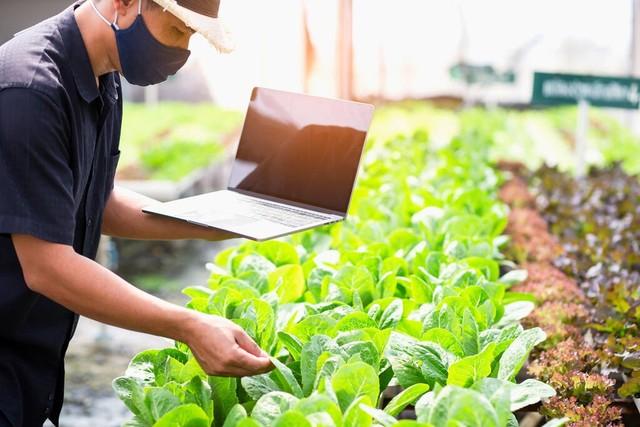 搞農業(yè)賺錢(qián)，有沒(méi)有想過(guò)為什么農民不賺錢(qián)